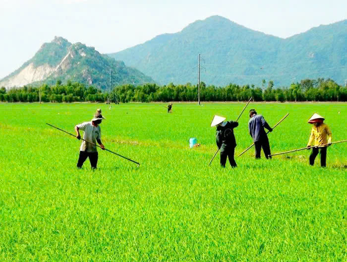 thich-ung-bien-doi-khi-hau